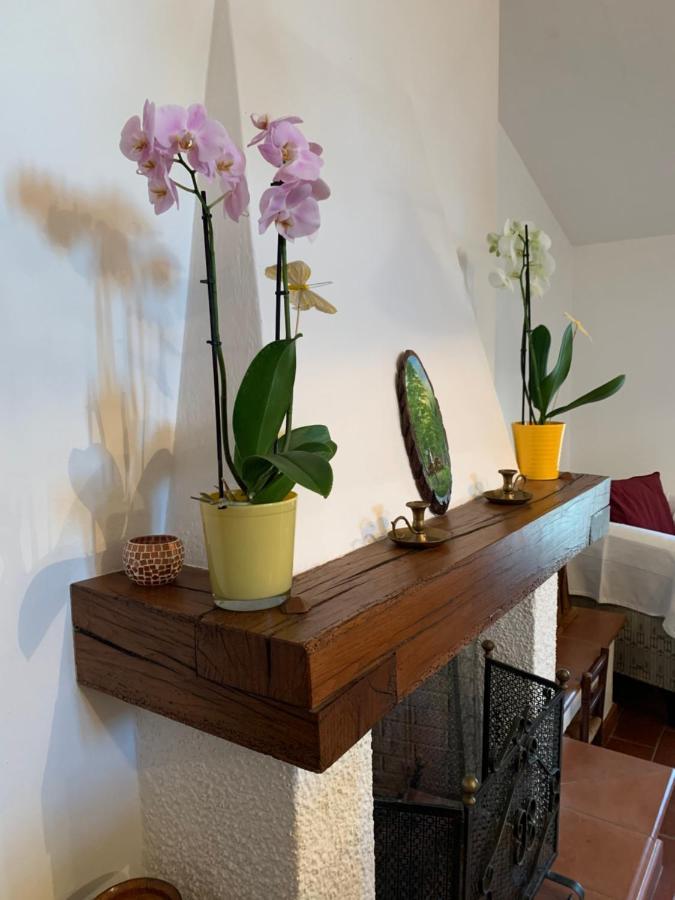 Apartment Codivilla Sasso Marconi
